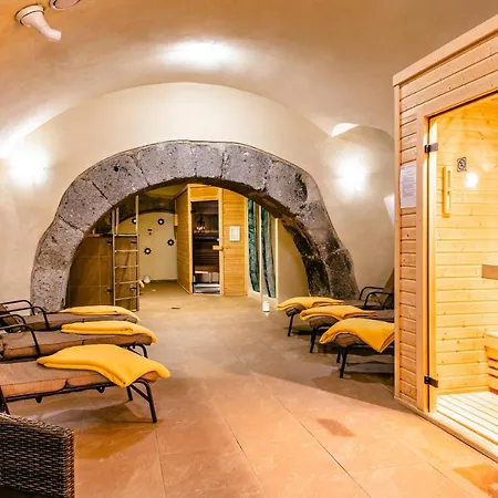 Hotel Hotel Grand Vígľaš